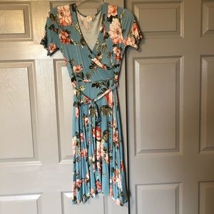 Stevie Hender Dress